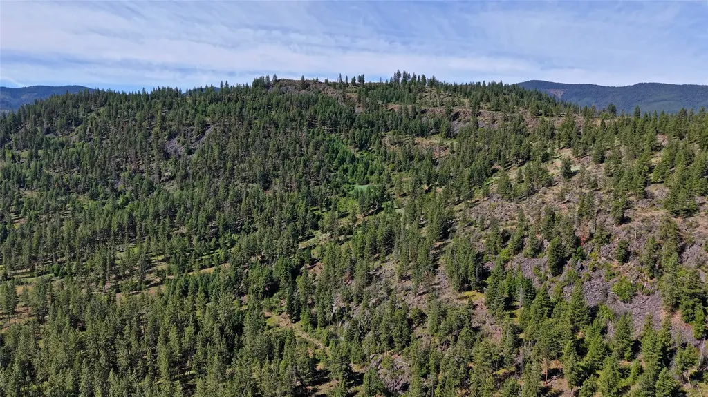 Nhn Tract 2 & Tract 3 Plains MT 59859