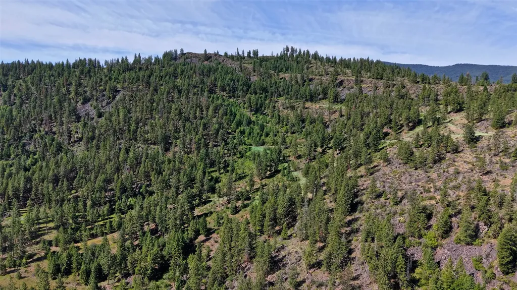 Nhn Tract 2 & Tract 3 Plains MT 59859