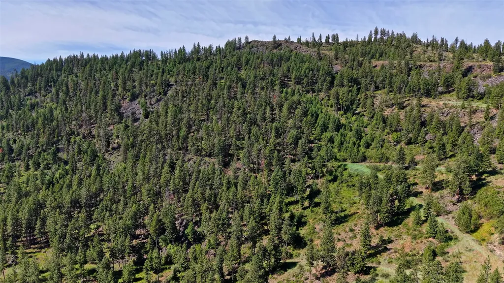Nhn Tract 2 & Tract 3 Plains MT 59859