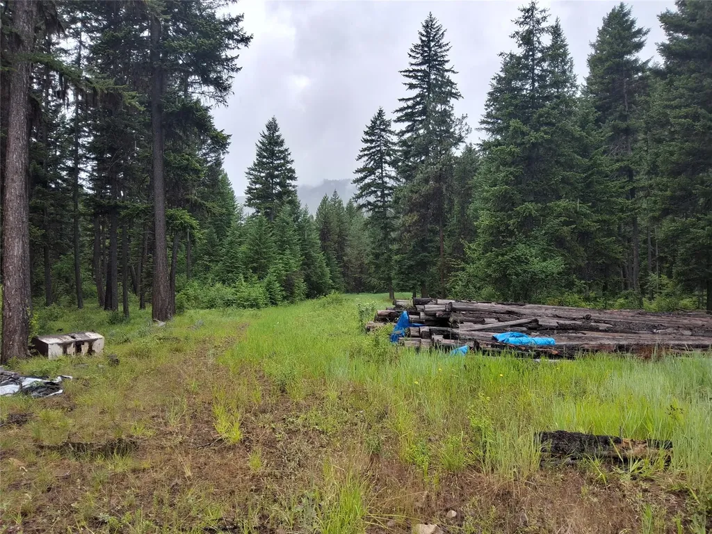 1491 Verde Creek Road Superior MT 59872