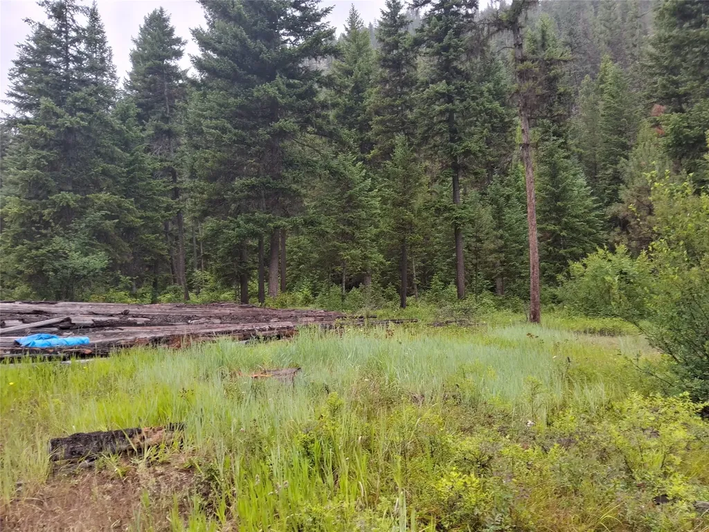 1491 Verde Creek Road Superior MT 59872