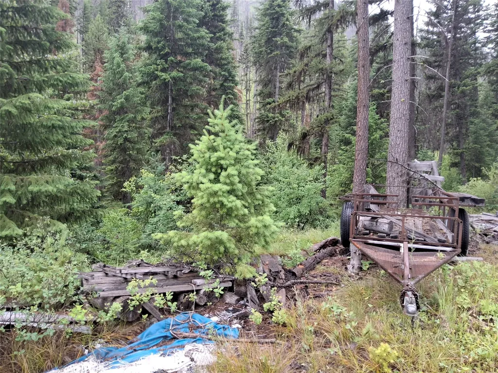 1491 Verde Creek Road Superior MT 59872