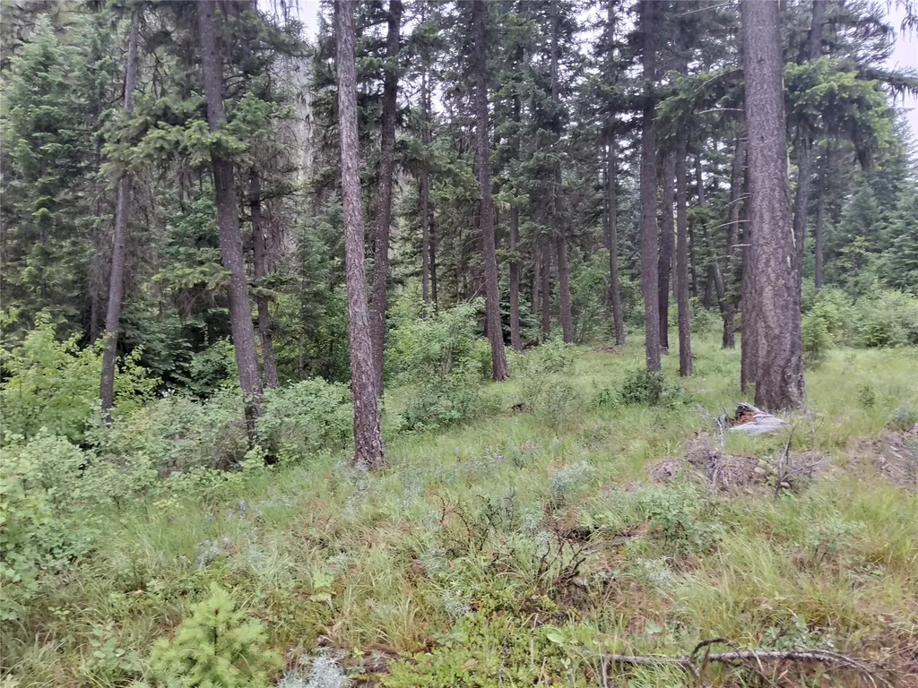 1491 Verde Creek Road Superior MT 59872