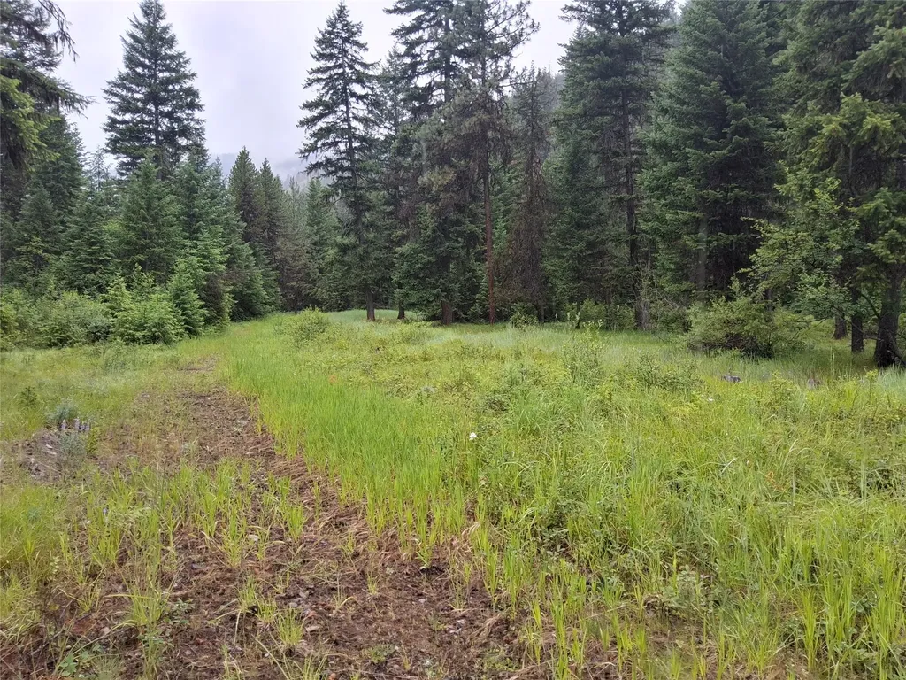 1491 Verde Creek Road Superior MT 59872
