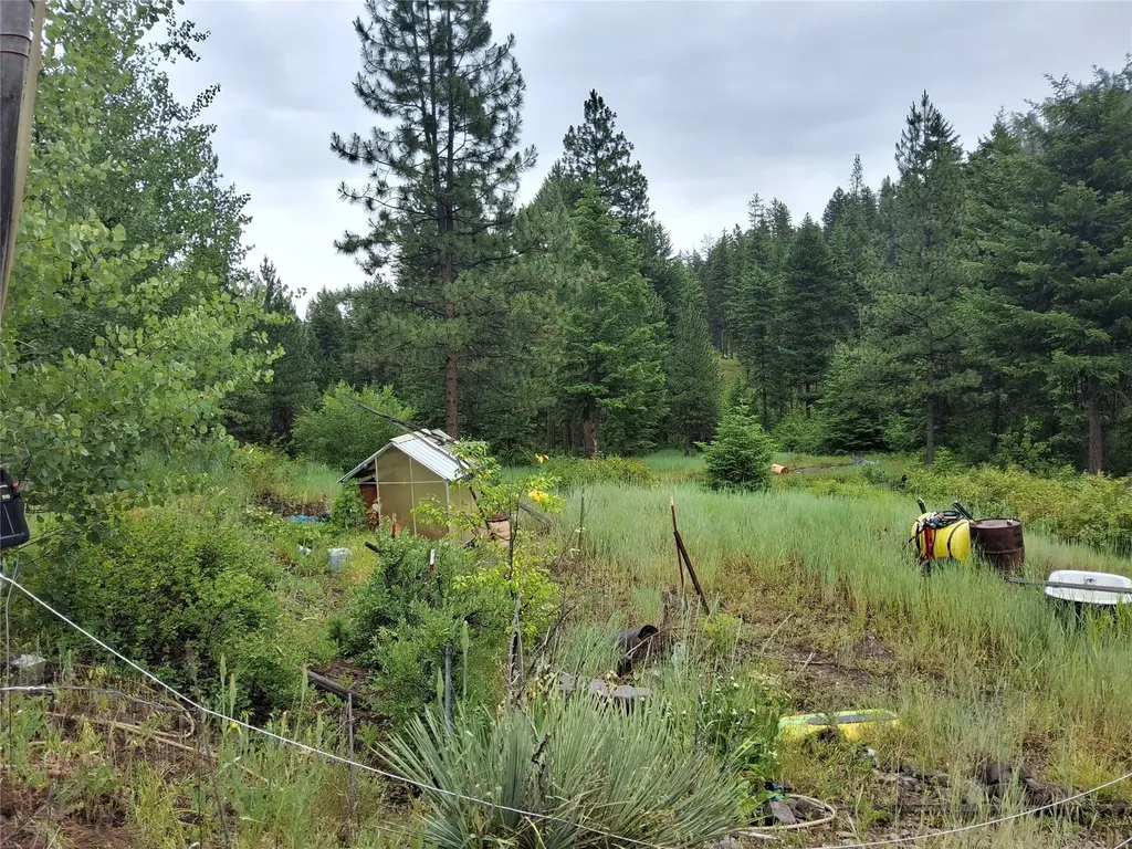 1491 Verde Creek Road Superior MT 59872