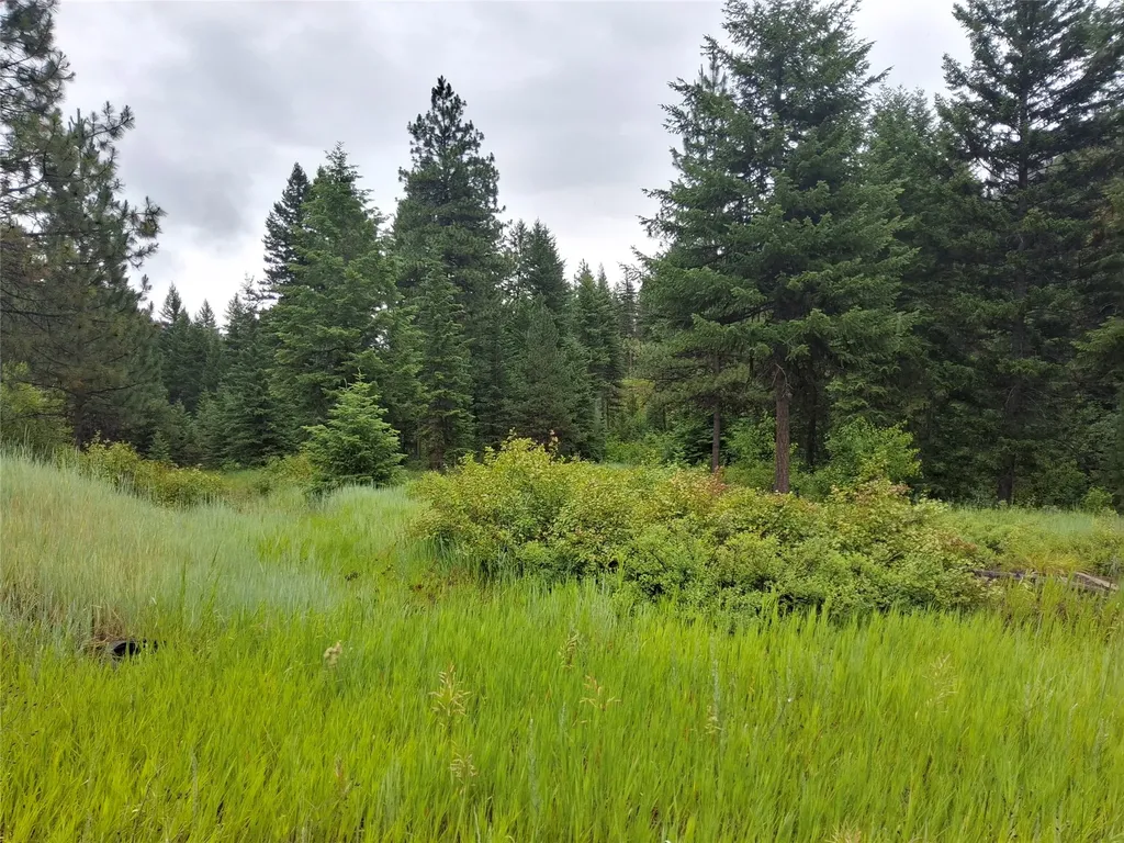 1491 Verde Creek Road Superior MT 59872