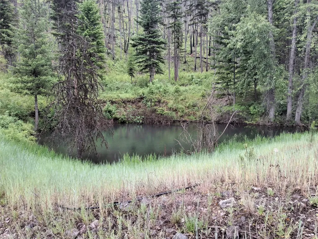 1491 Verde Creek Road Superior MT 59872