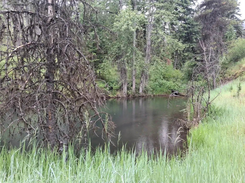 1491 Verde Creek Road Superior MT 59872