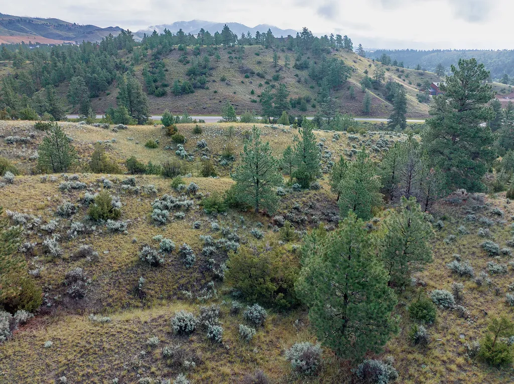 8250 Half Moon Court Helena MT 59602