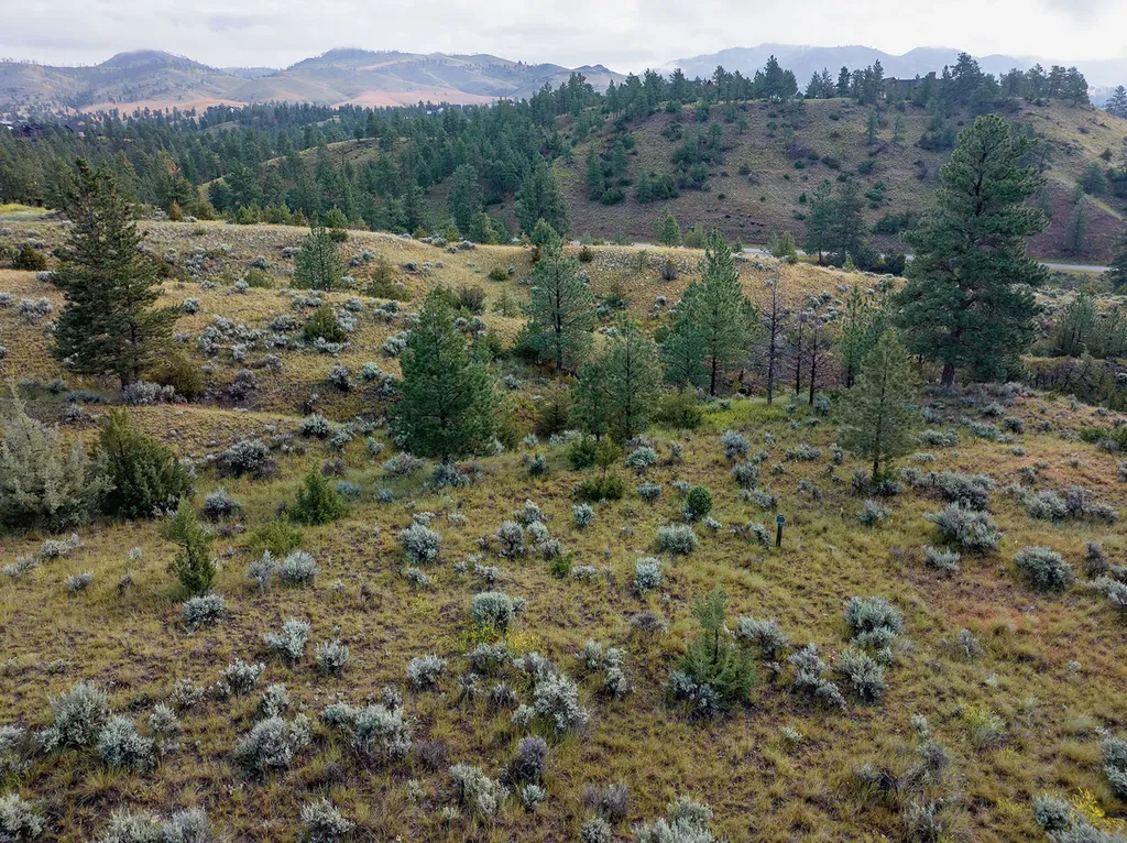 8250 Half Moon Court Helena MT 59602