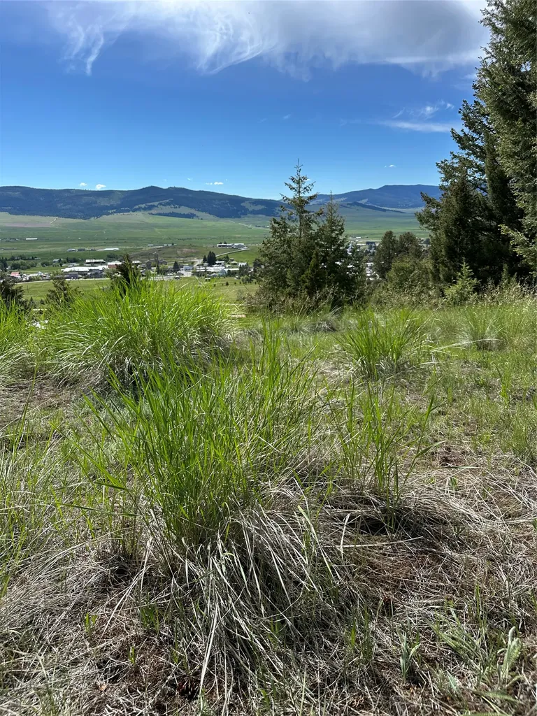 15 Power Plant Road Philipsburg MT 59858