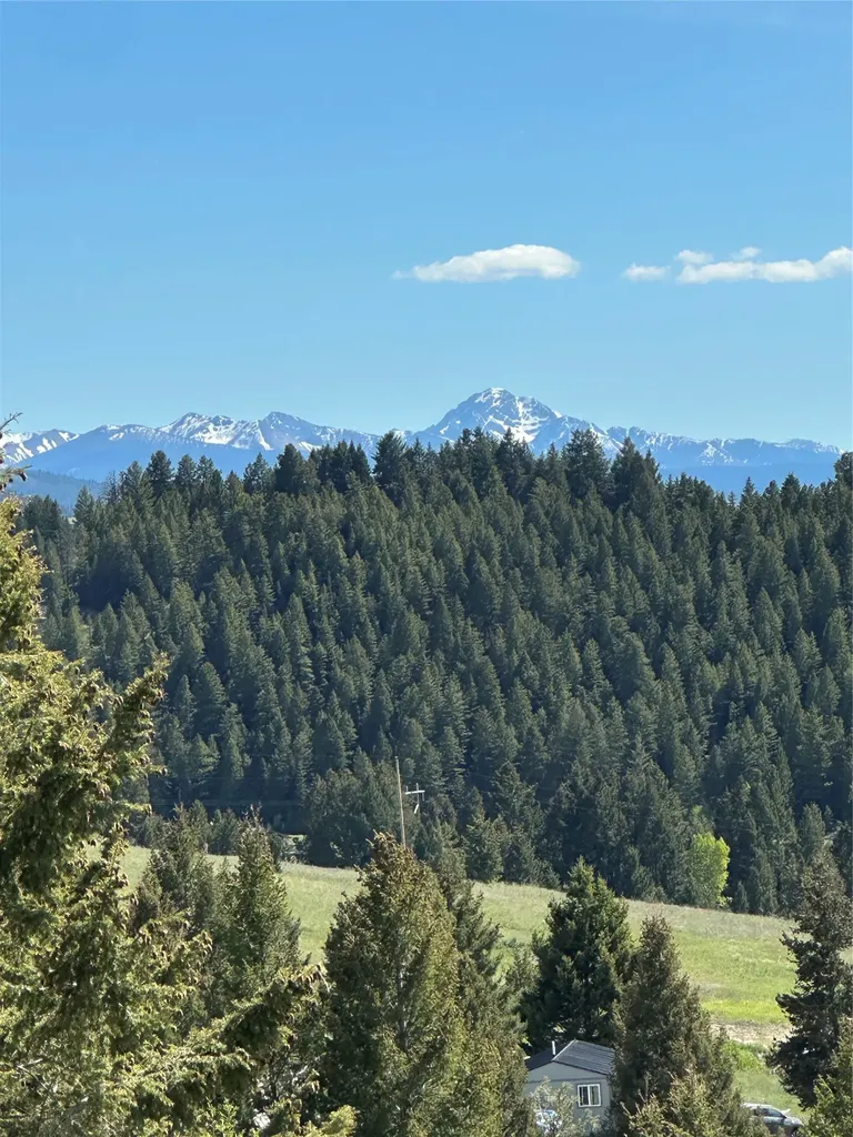 15 Power Plant Road Philipsburg MT 59858