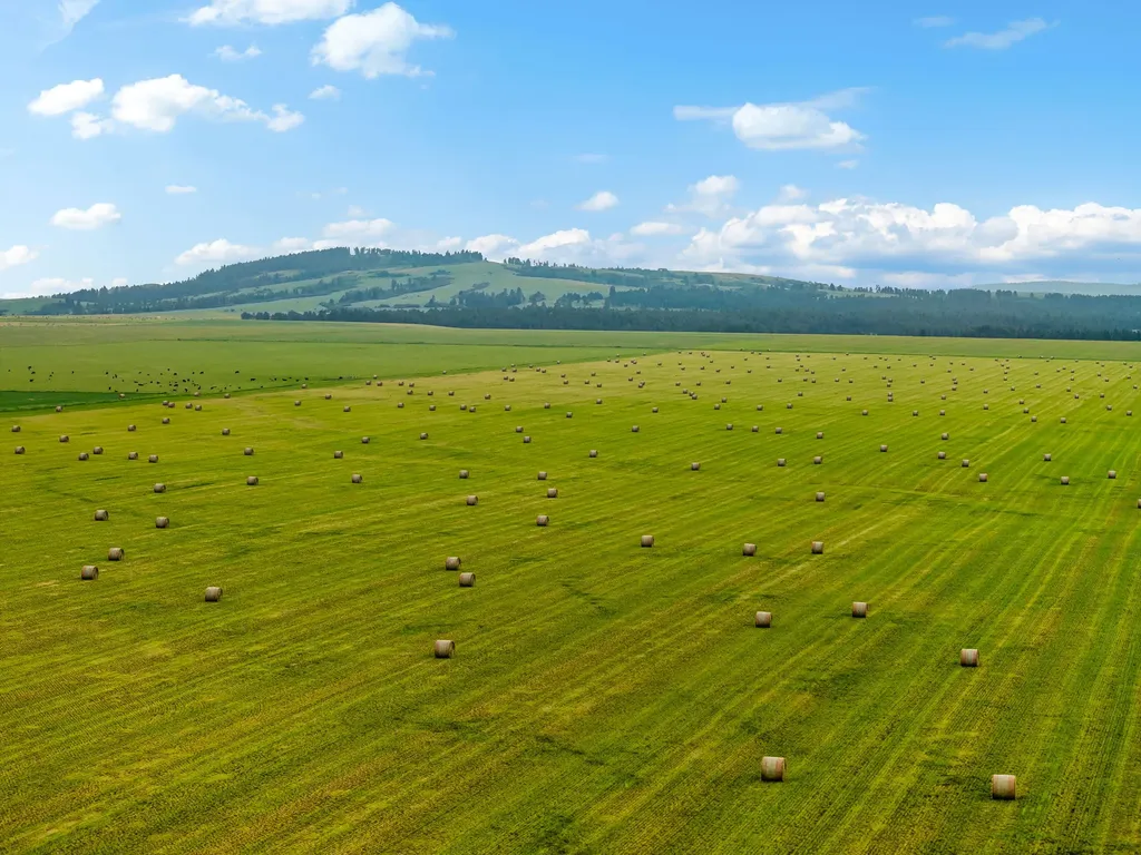 6058 Cottonwood Creek Road Lewistown MT 59457
