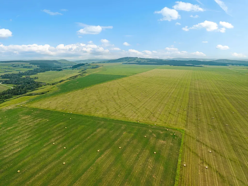 6058 Cottonwood Creek Road Lewistown MT 59457