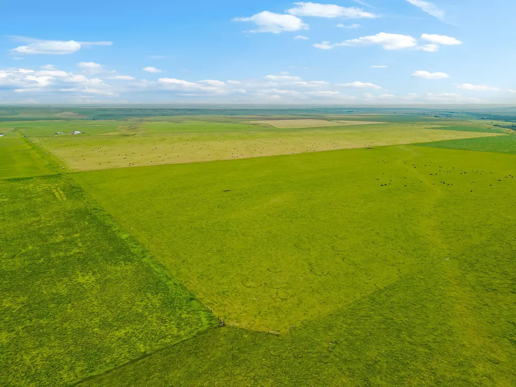 6058 Cottonwood Creek Road Lewistown MT 59457