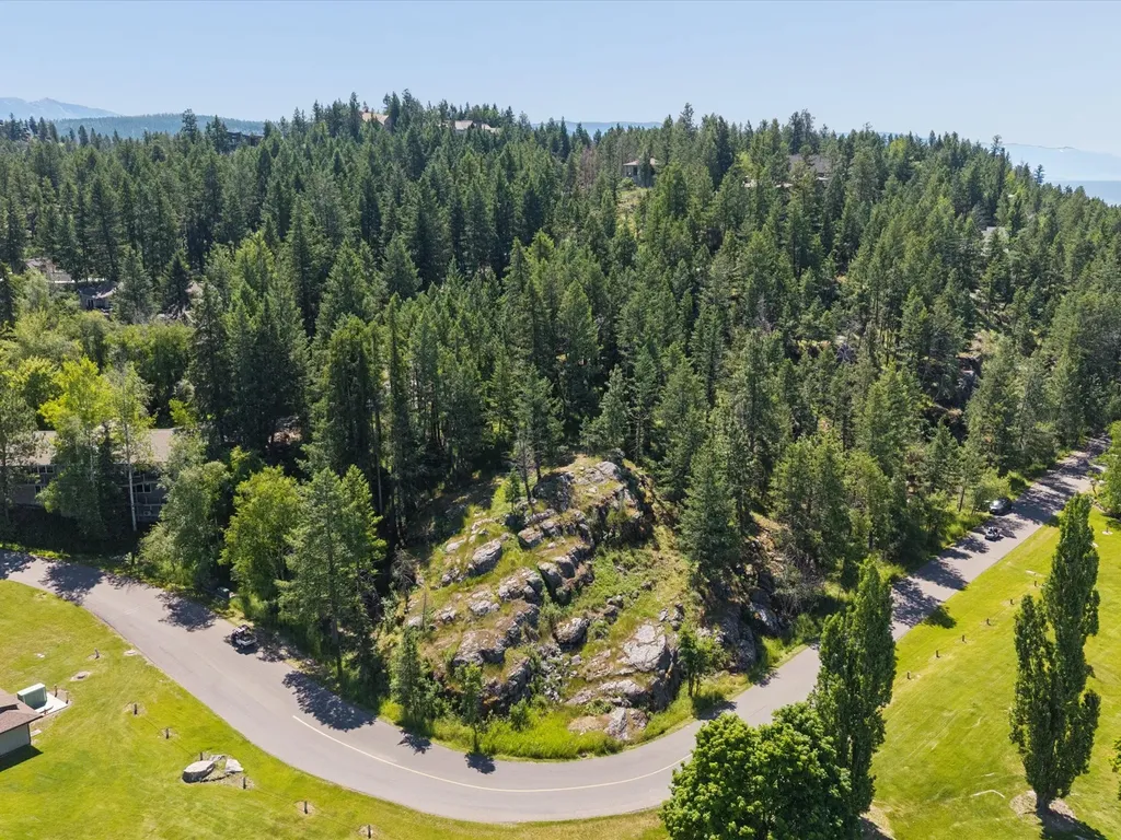 230 Eagle Bend Drive Bigfork MT 59911