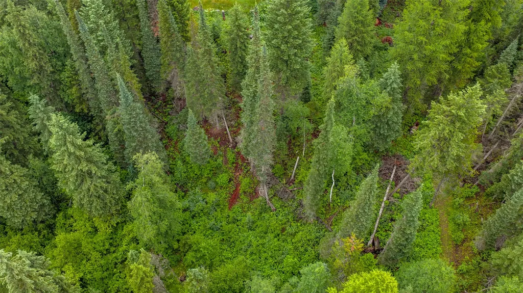 220 Cliff Creek Road Whitefish MT 59937