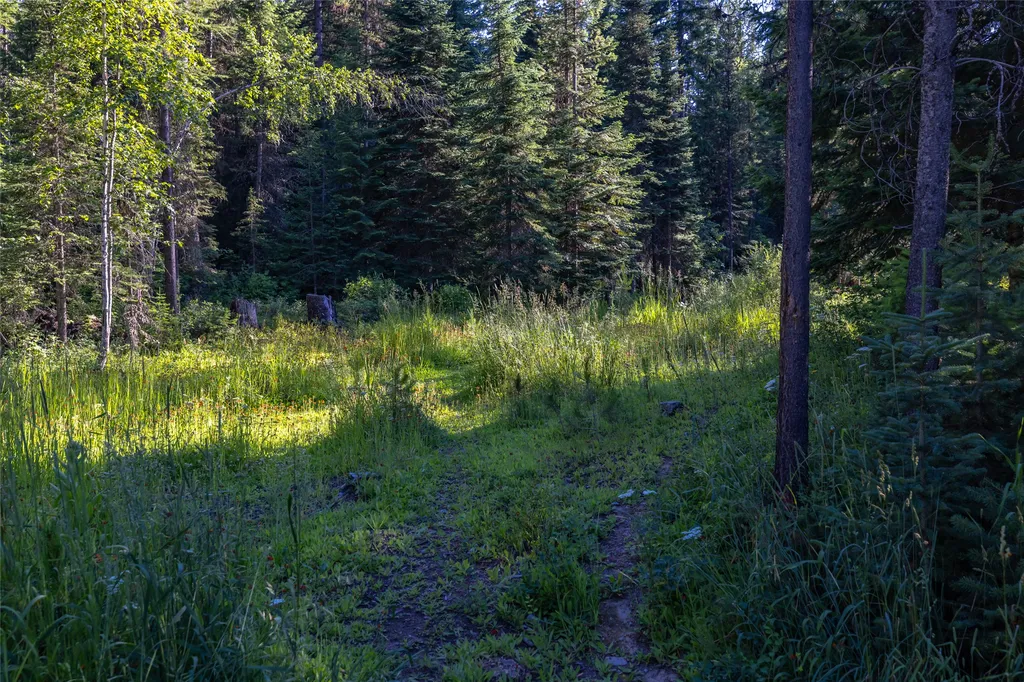 220 Cliff Creek Road Whitefish MT 59937