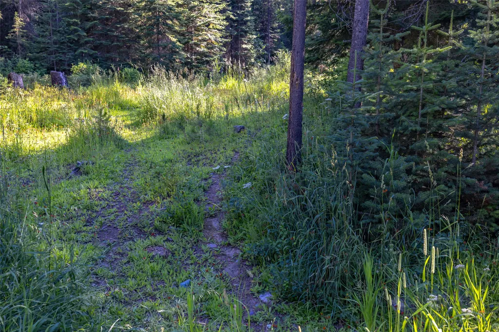220 Cliff Creek Road Whitefish MT 59937