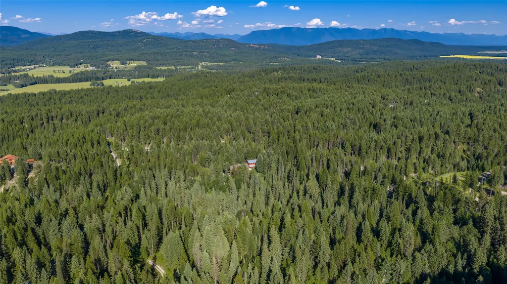 220 Cliff Creek Road Whitefish MT 59937