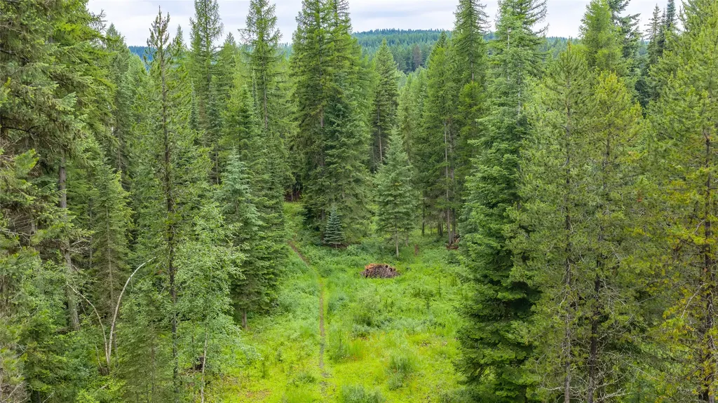 220 Cliff Creek Road Whitefish MT 59937