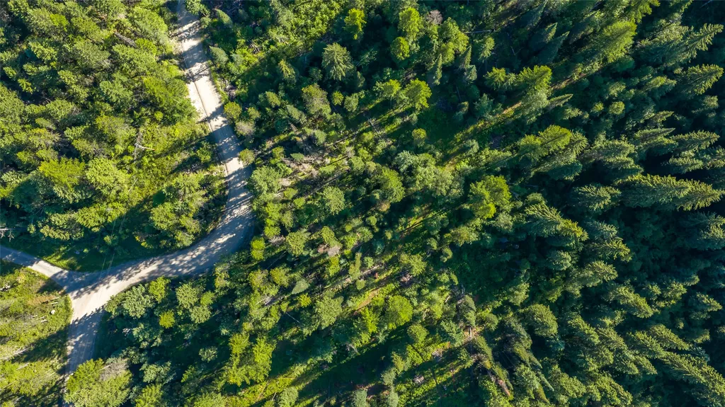 220 Cliff Creek Road Whitefish MT 59937