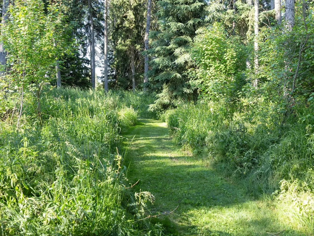 268 & 274 Haskill Crossing Road Whitefish MT 59937