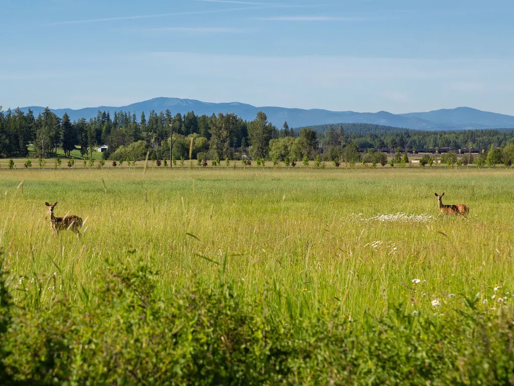 268 & 274 Haskill Crossing Road Whitefish MT 59937
