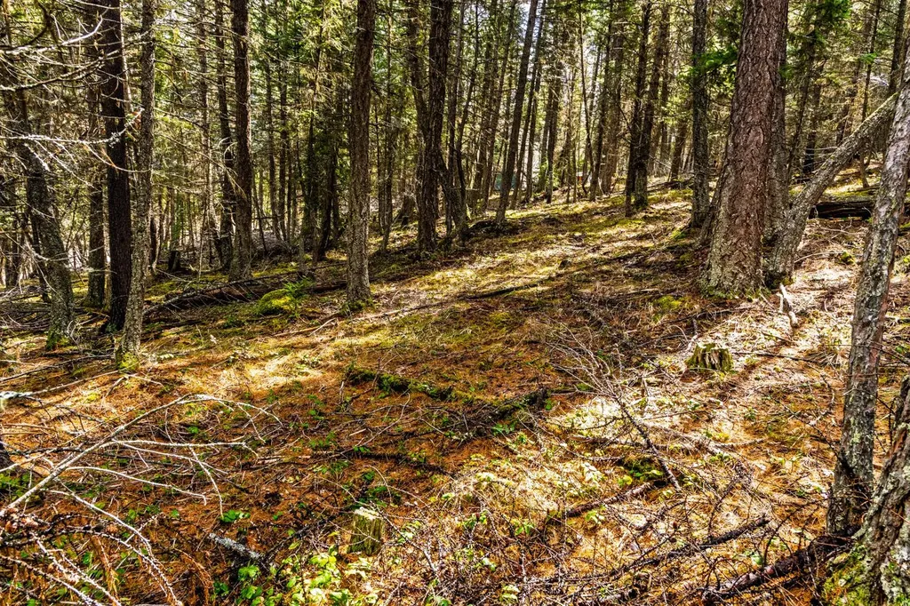 Nhn Glen Lake Road Eureka MT 59917