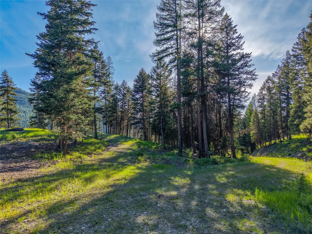 267 Lookout Drive Libby MT 59923