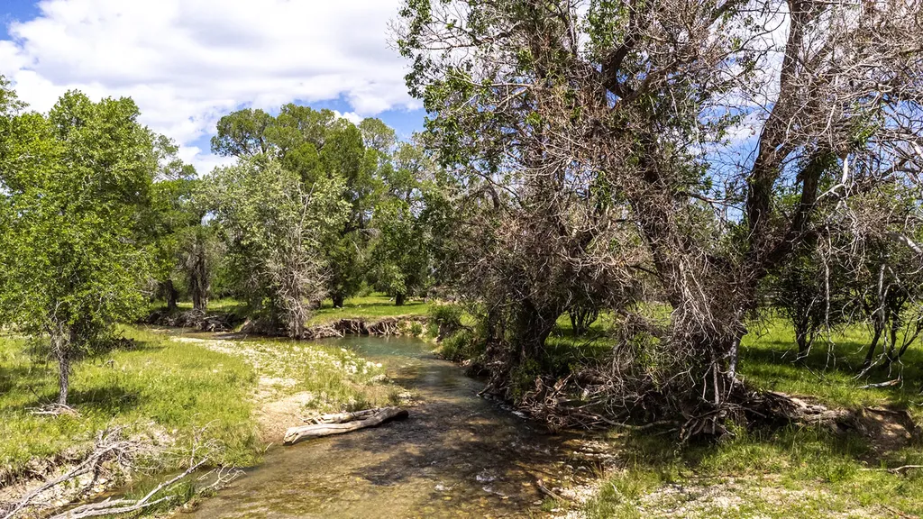 6058 Cottonwood Creek Road Lewistown MT 59457