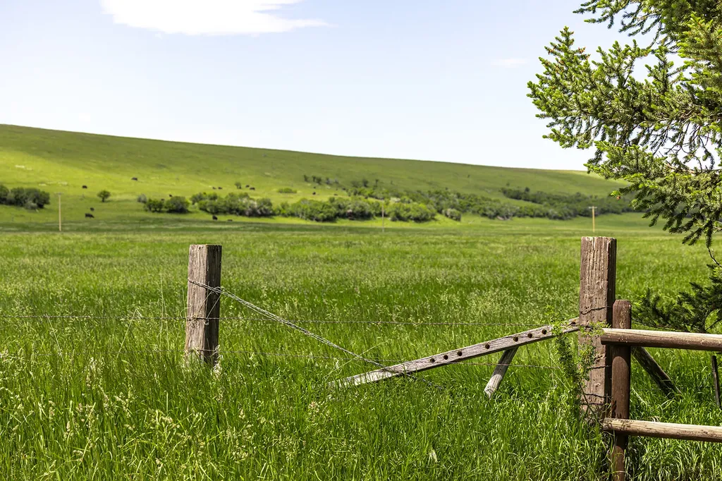 6058 Cottonwood Creek Road Lewistown MT 59457
