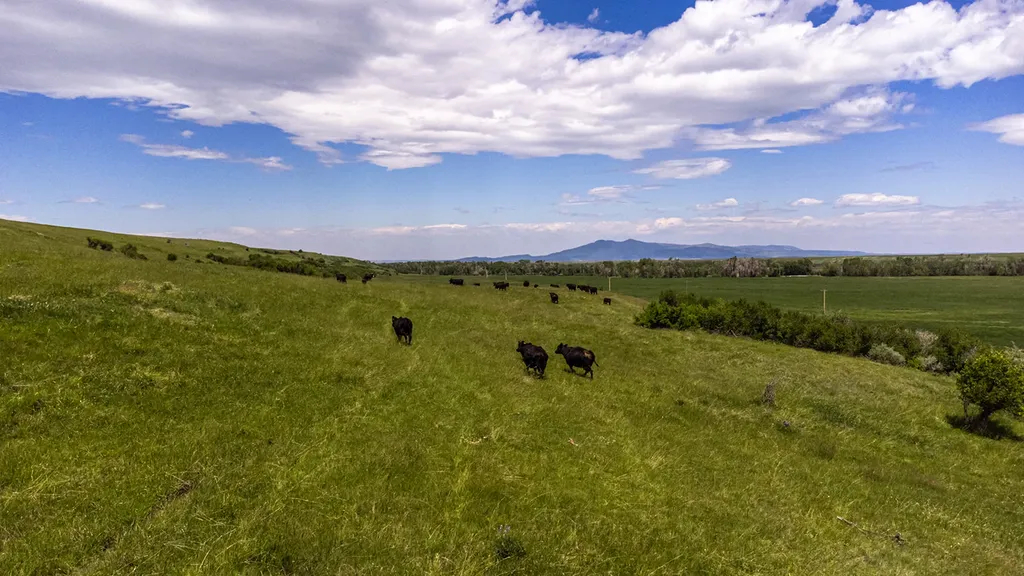 6058 Cottonwood Creek Road Lewistown MT 59457