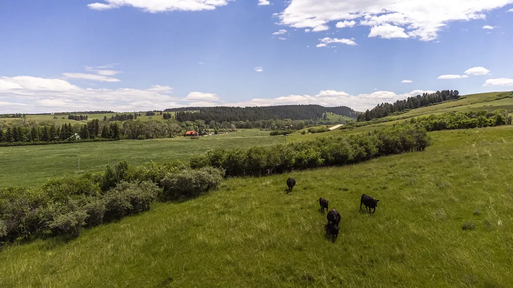 6058 Cottonwood Creek Road Lewistown MT 59457