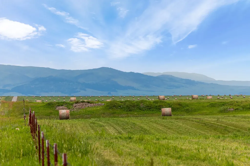 6058 Cottonwood Creek Road Lewistown MT 59457