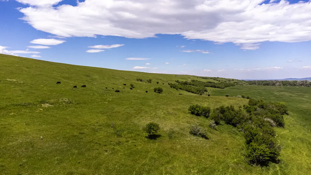 6058 Cottonwood Creek Road Lewistown MT 59457