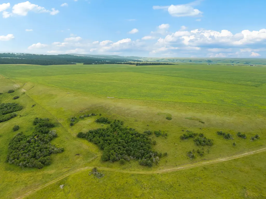 6058 Cottonwood Creek Road Lewistown MT 59457