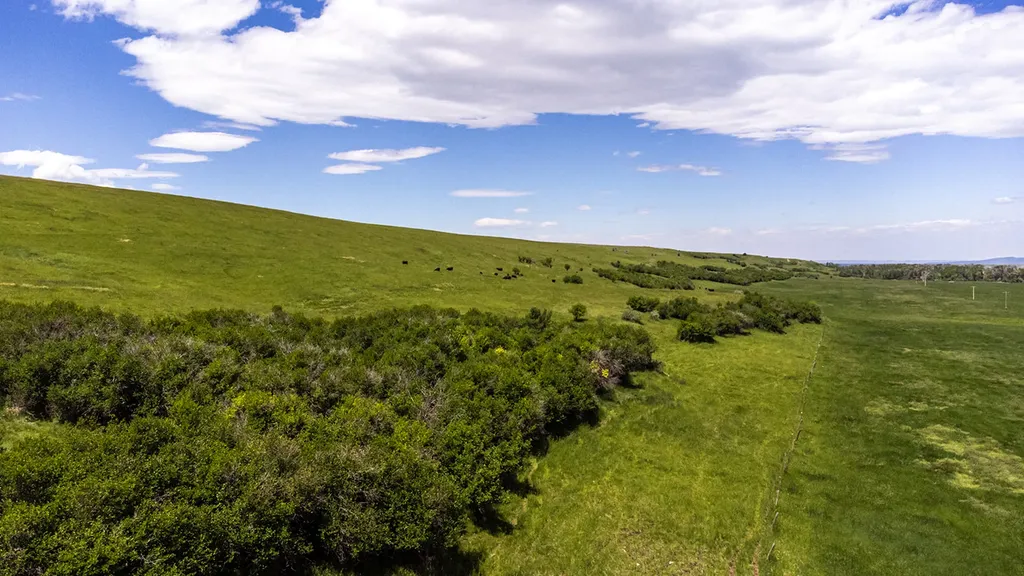 6058 Cottonwood Creek Road Lewistown MT 59457