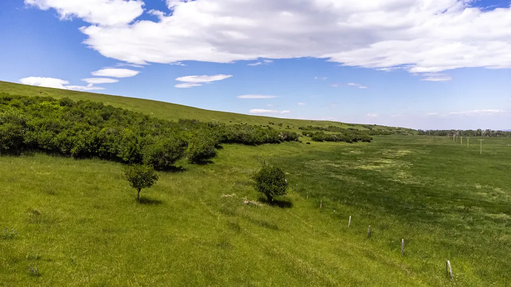 6058 Cottonwood Creek Road Lewistown MT 59457