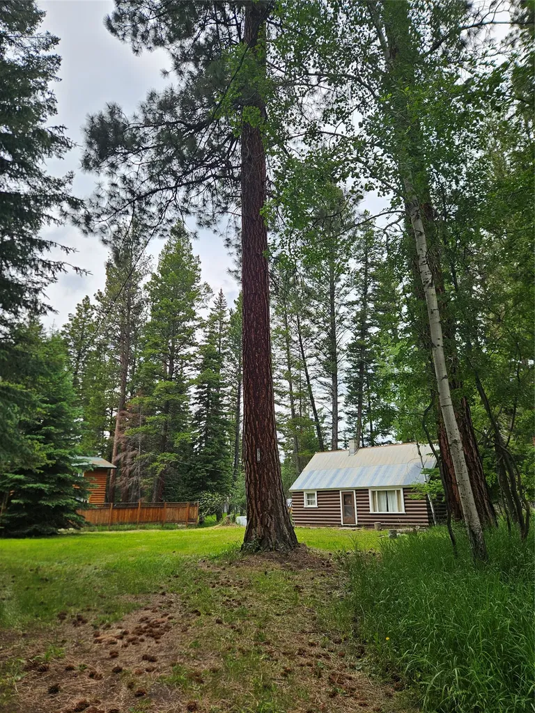 622 D Lincoln MT 59639