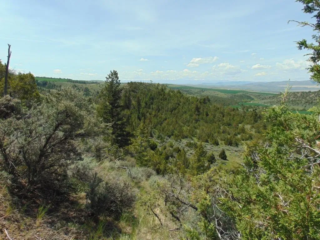 Tbd Lone Wolf Trail Three Forks MT 59752