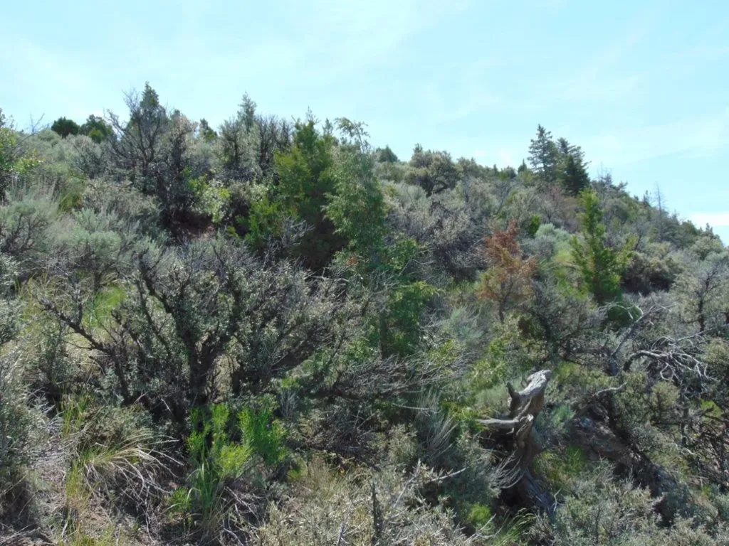 Tbd Lone Wolf Trail Three Forks MT 59752