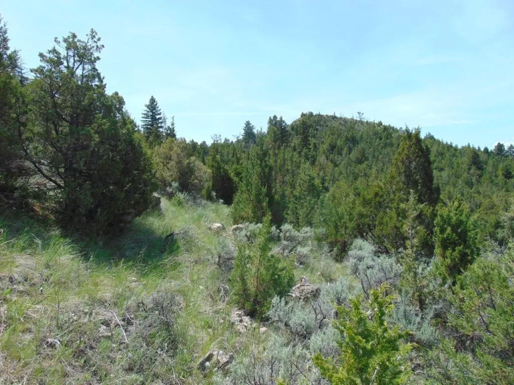 Tbd Lone Wolf Trail Three Forks MT 59752