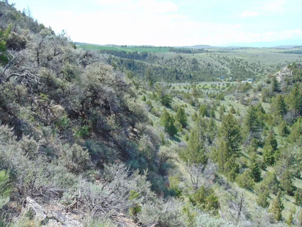Tbd Lone Wolf Trail Three Forks MT 59752