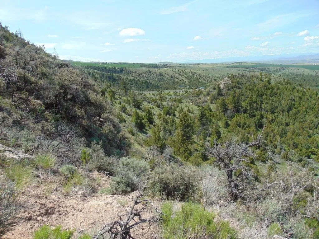 Tbd Lone Wolf Trail Three Forks MT 59752