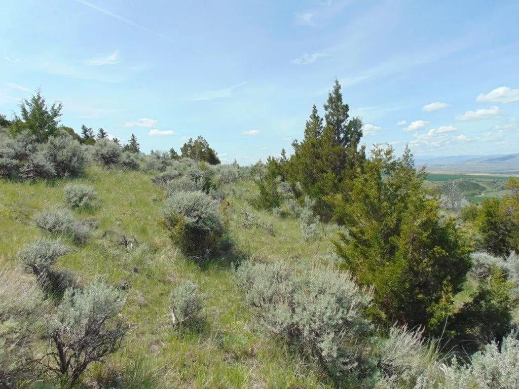Tbd Lone Wolf Trail Three Forks MT 59752