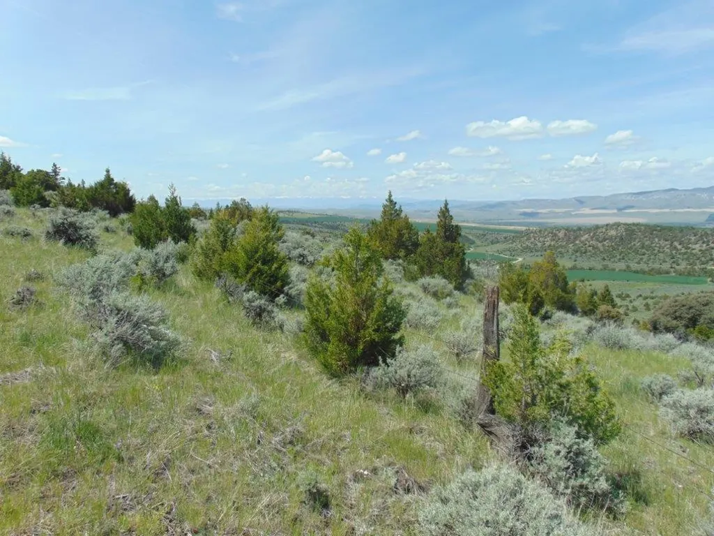 Tbd Lone Wolf Trail Three Forks MT 59752