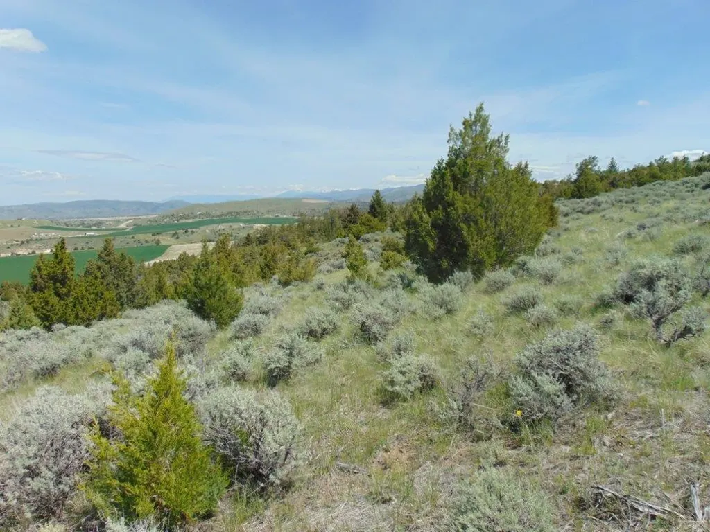 Tbd Lone Wolf Trail Three Forks MT 59752