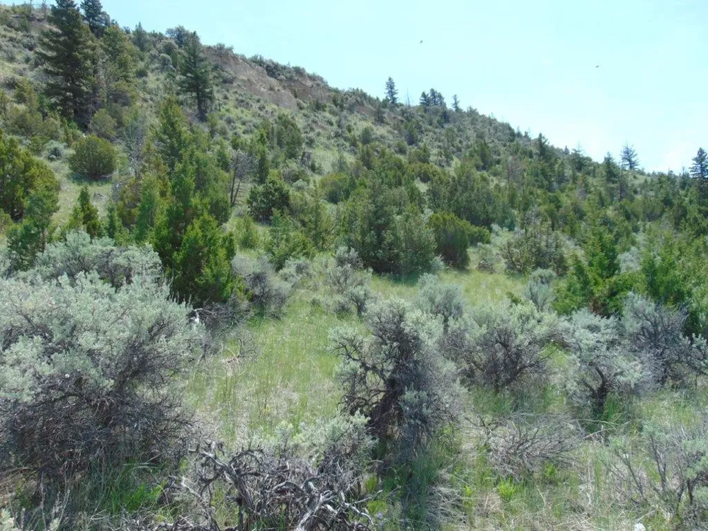 Tbd Lone Wolf Trail Three Forks MT 59752