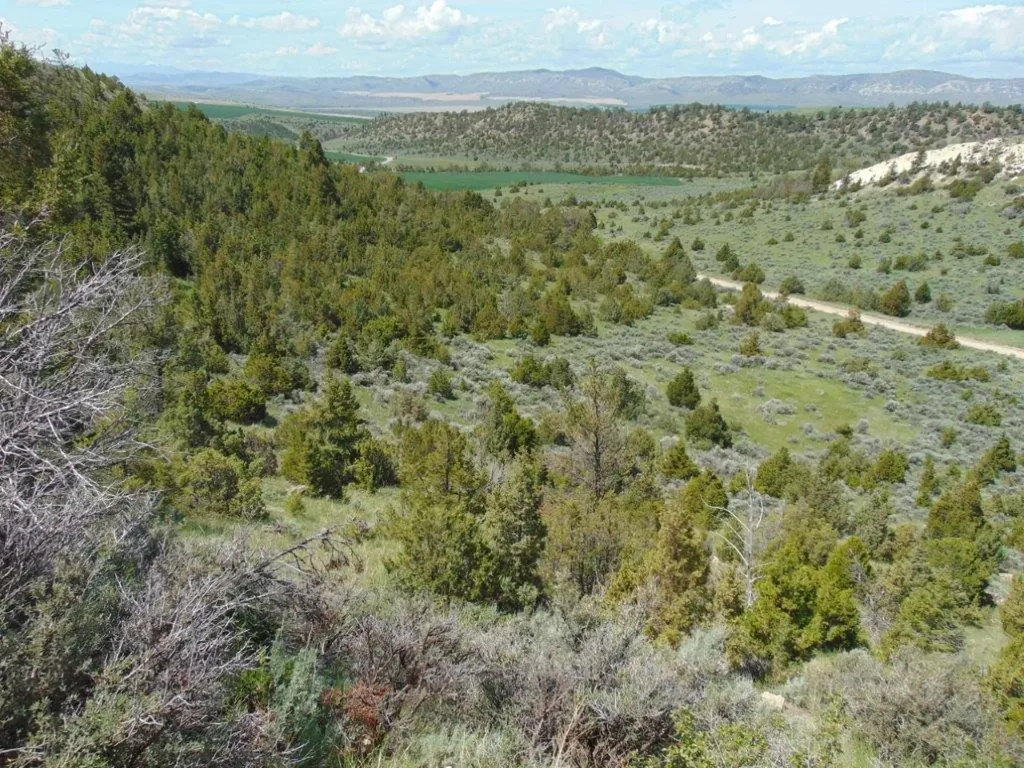 Tbd Lone Wolf Trail Three Forks MT 59752